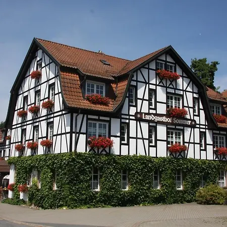 Sommer *